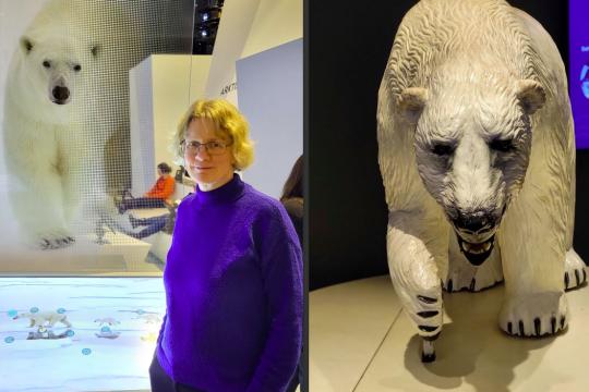Polar Bear Discovery Tour – Fascinating past and urgent present