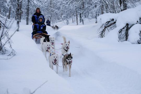 Dogsledding in Tamokdalen north of Tromso