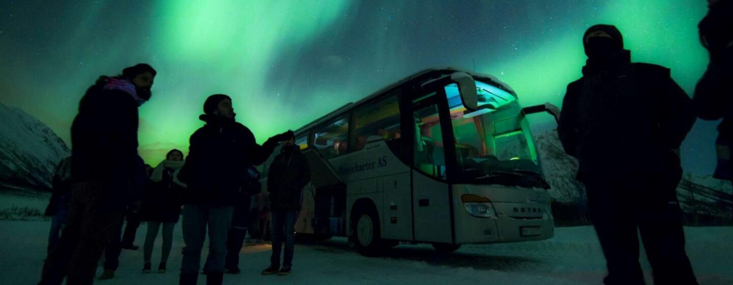 Northern lights chase by bus from Tromsø with NorthernShots Tours