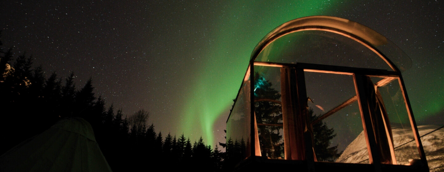 Northern lights with Visit Tromso Norway