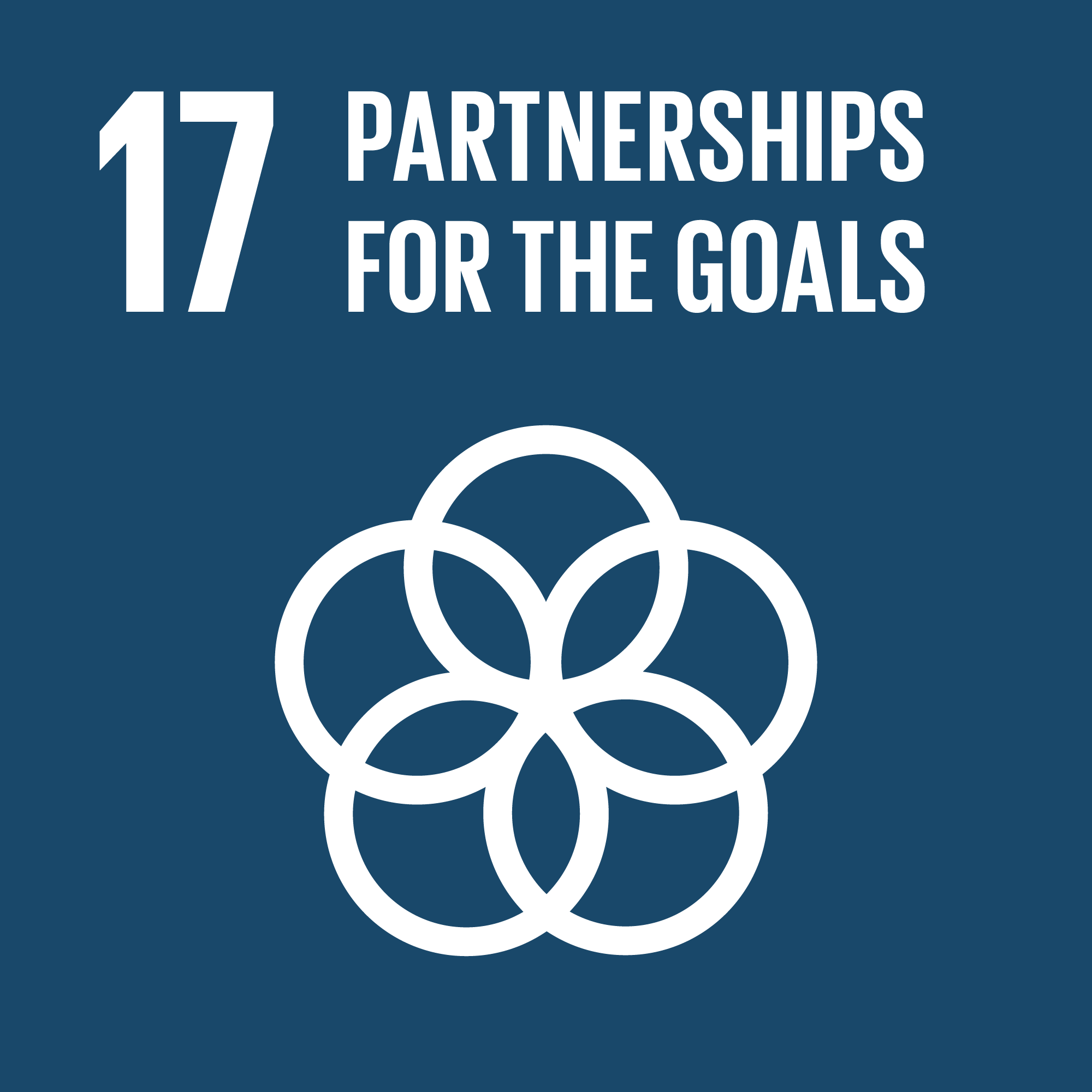 UN sustainability goal number 17