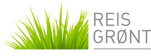 Reis grønt