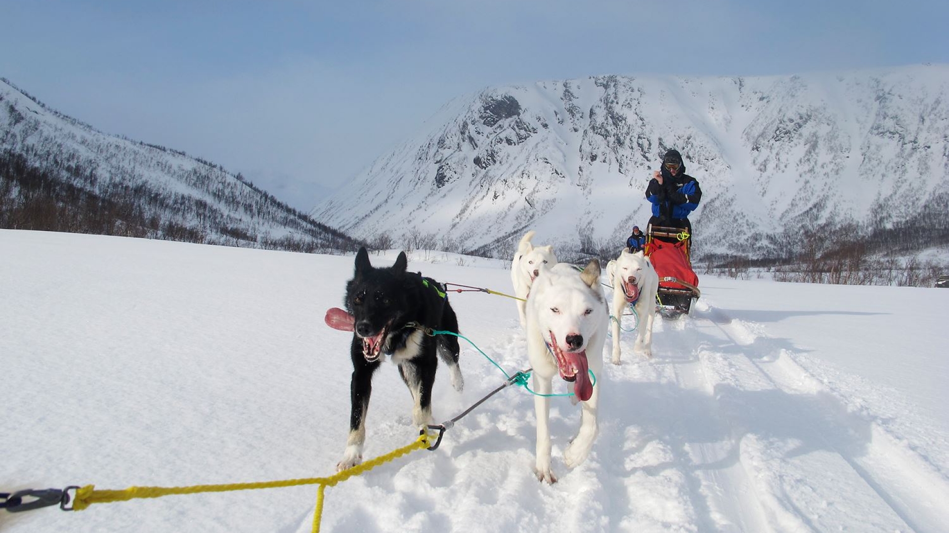 Aurora Camp and Dog Sledding Visit Tromso
