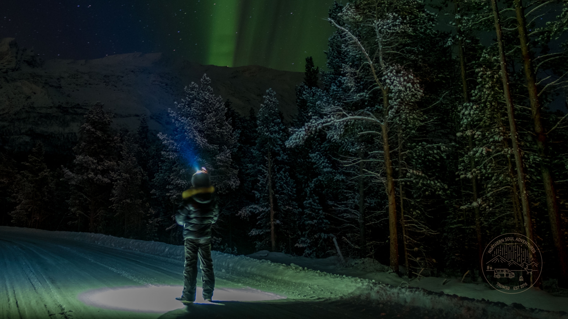 Man watching the Northern Lights from a forest road
