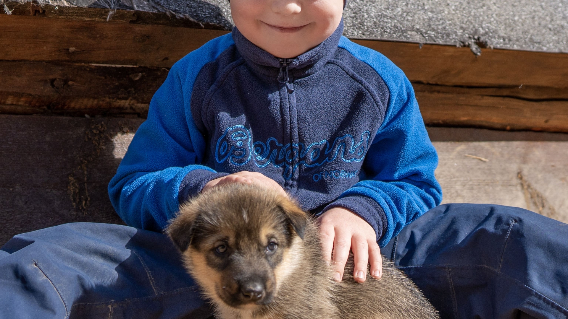 Boy with husky puppy
