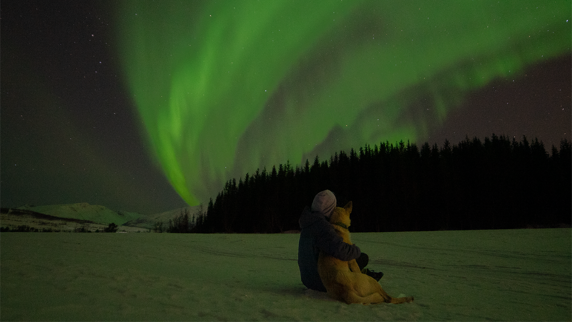 Woman and husky under the Northern Lights