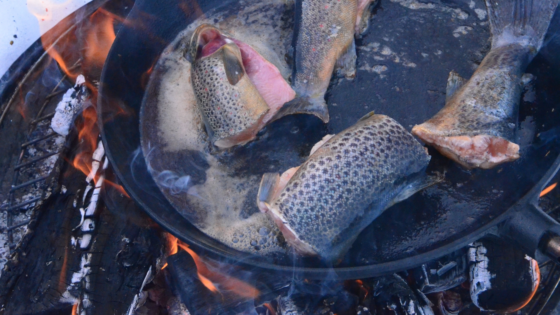 Frying fresh fish on the bonfire