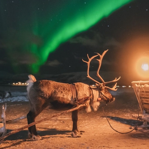 Northern Lights Sami Piia Kemppinen