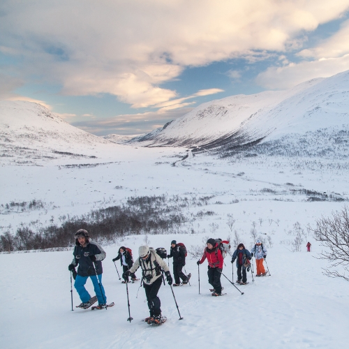 Group of people snowshoeing in winter landscape