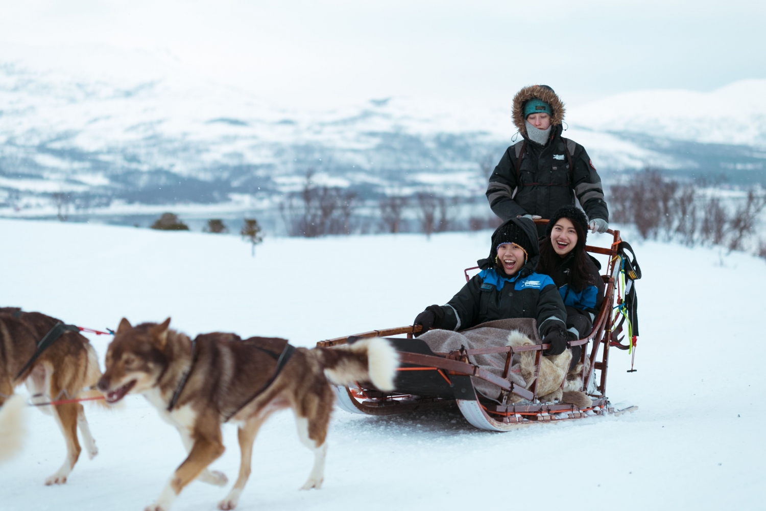 Aurora Camp and Dog Sledding Visit Tromso