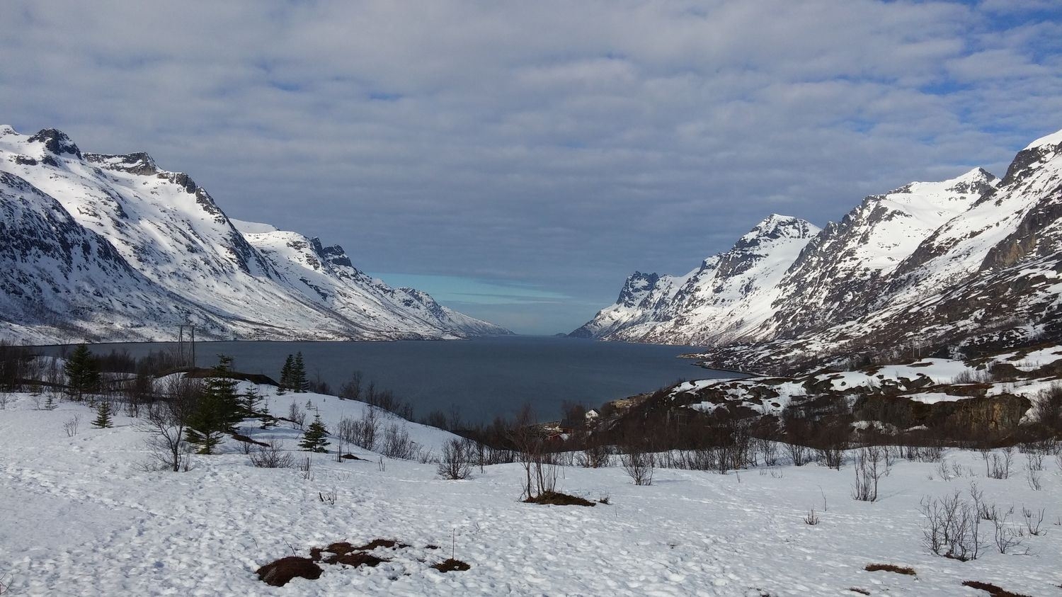 Fjord med snødekte fjell