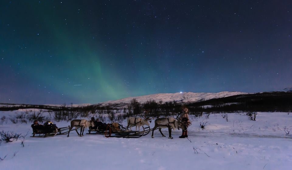 Overnight Reindeer Sledding and Northern Lights