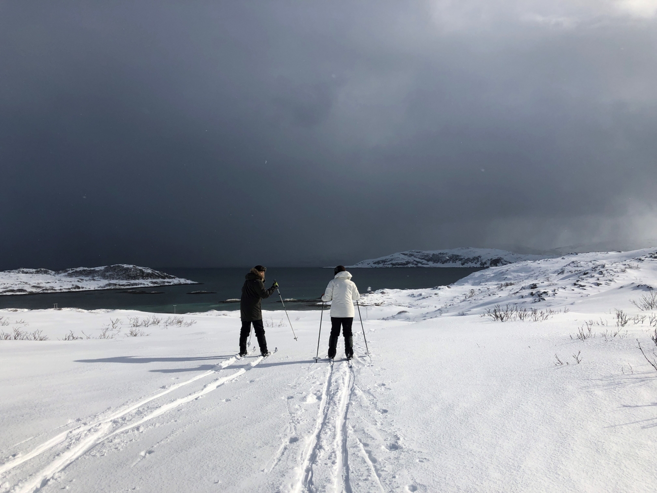 Two people skiing in winter landscape