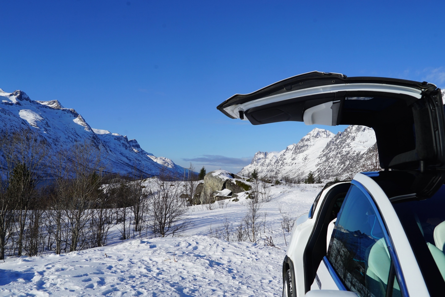 Tesla Model X in arctic winter landscape