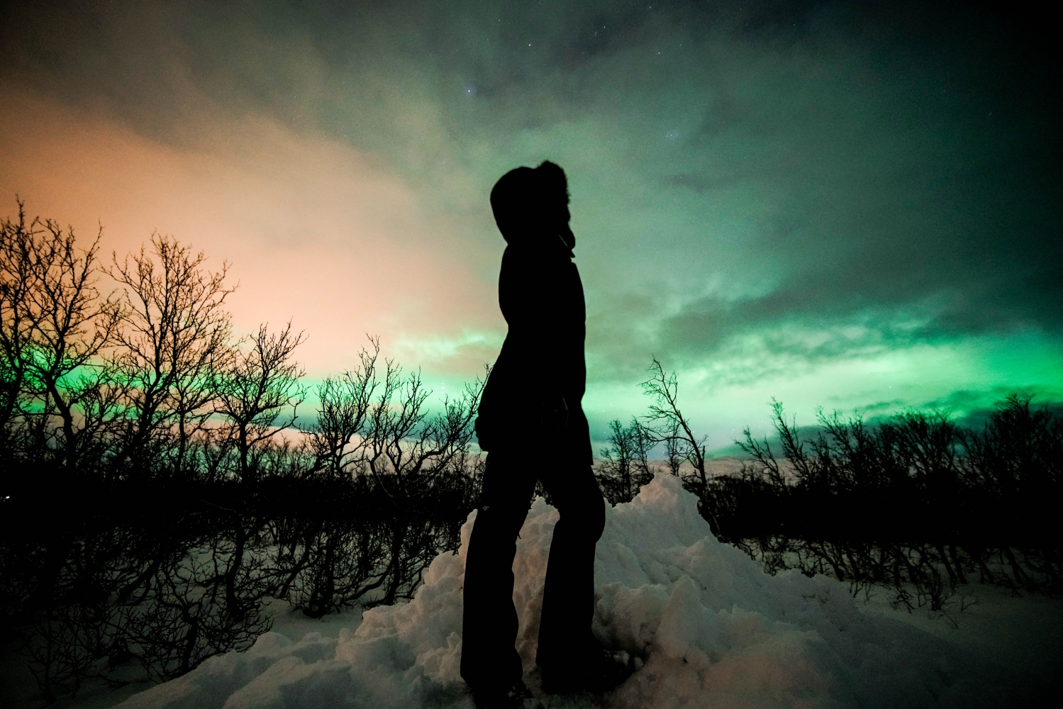 Person standing in the snow watching the Northern Lights
