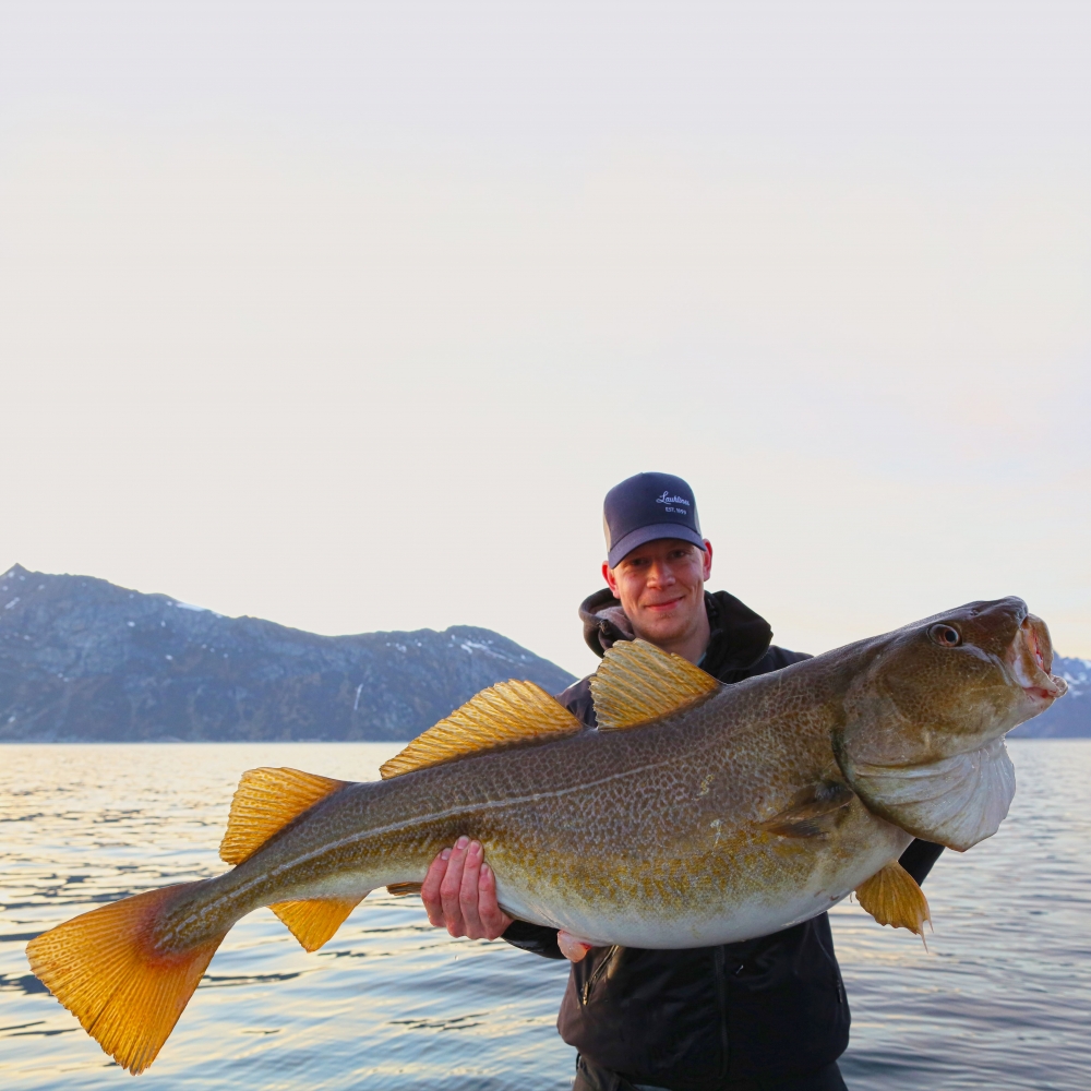 Person holding a big cod