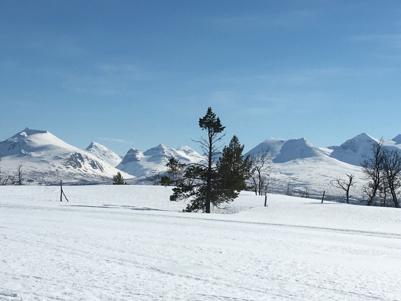 Snowshoeing with amazing view in Bardufoss