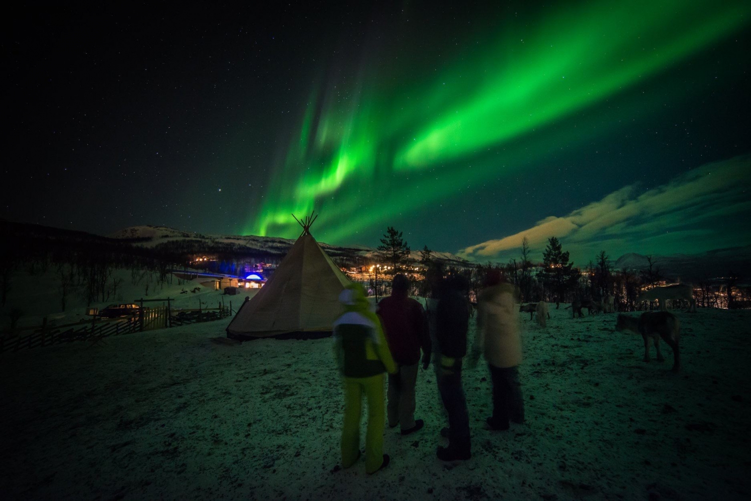Persons watching the Northern lights, a sami lavvu in the background