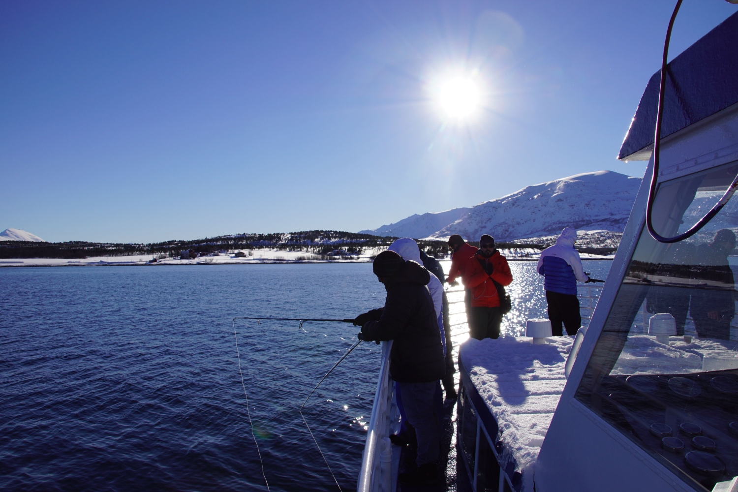Polar fjord- og fiskecruise fra Tromsø