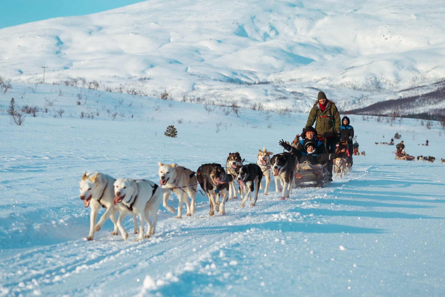 Dog sled with a musher and guests