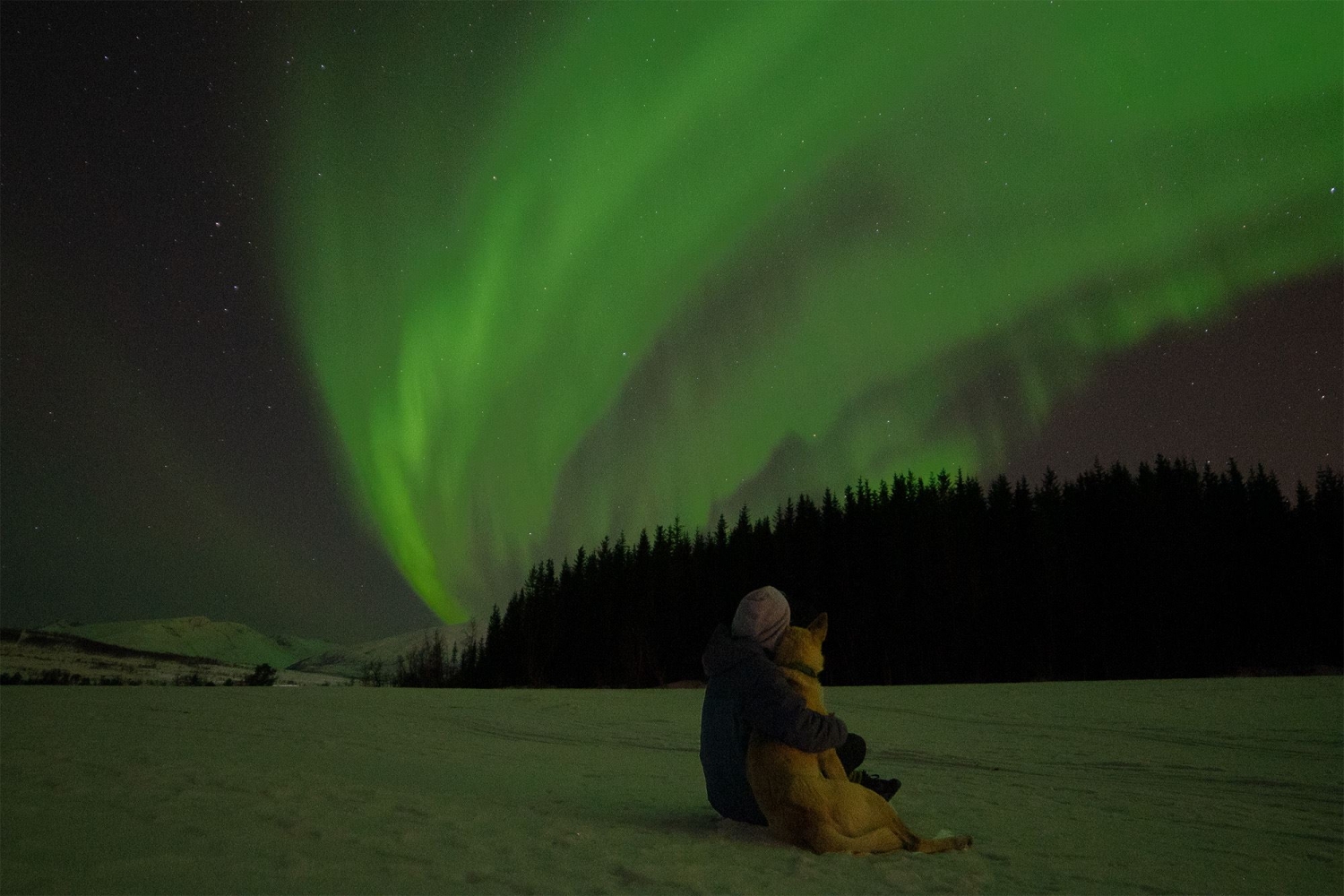 Person hugging a dog while watching the Northern Lights