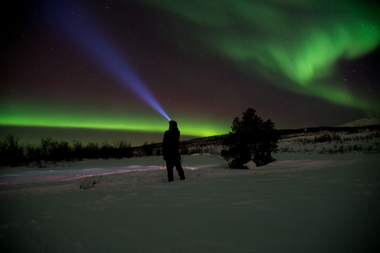 Person wearing a headlight watching the Northern Lights