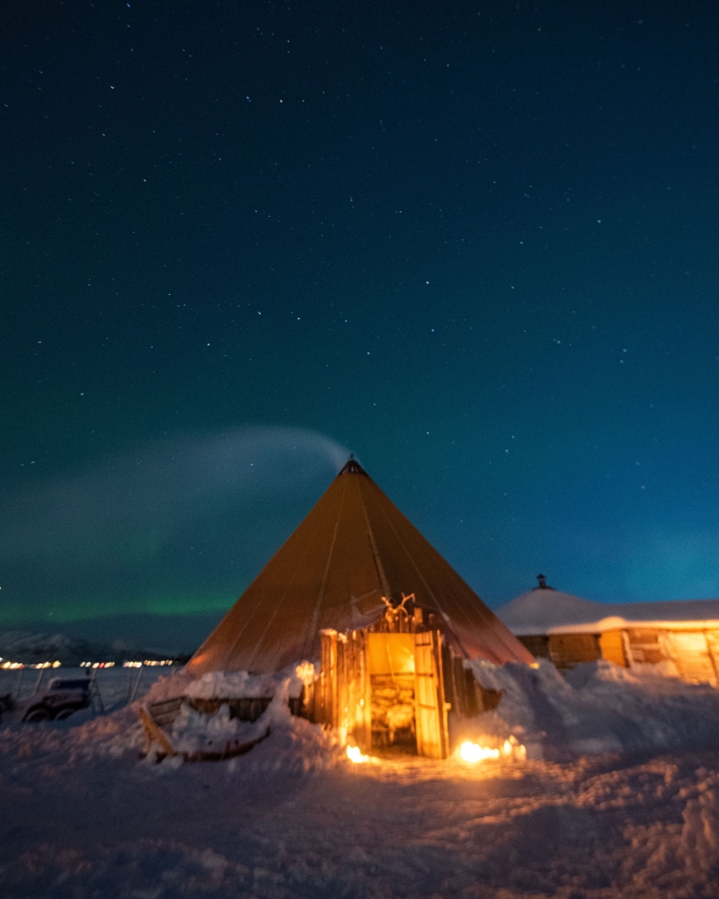 Night reindeer sledding with dinner and chance of Northern Lights