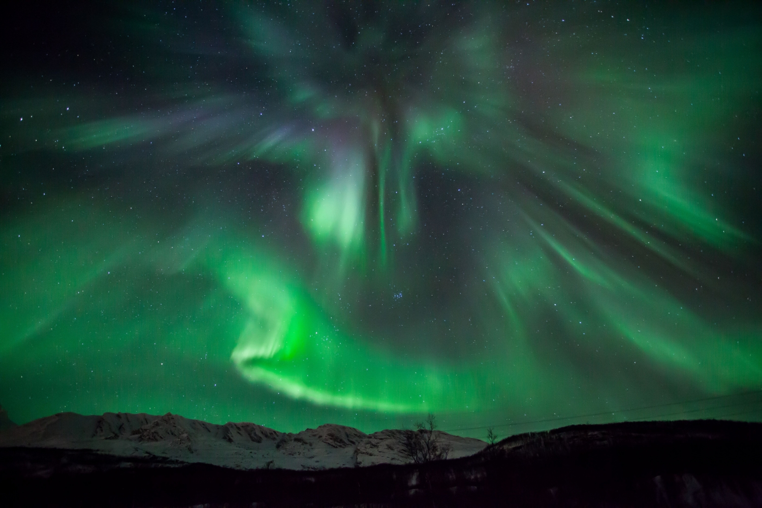 a sky full of northern lights