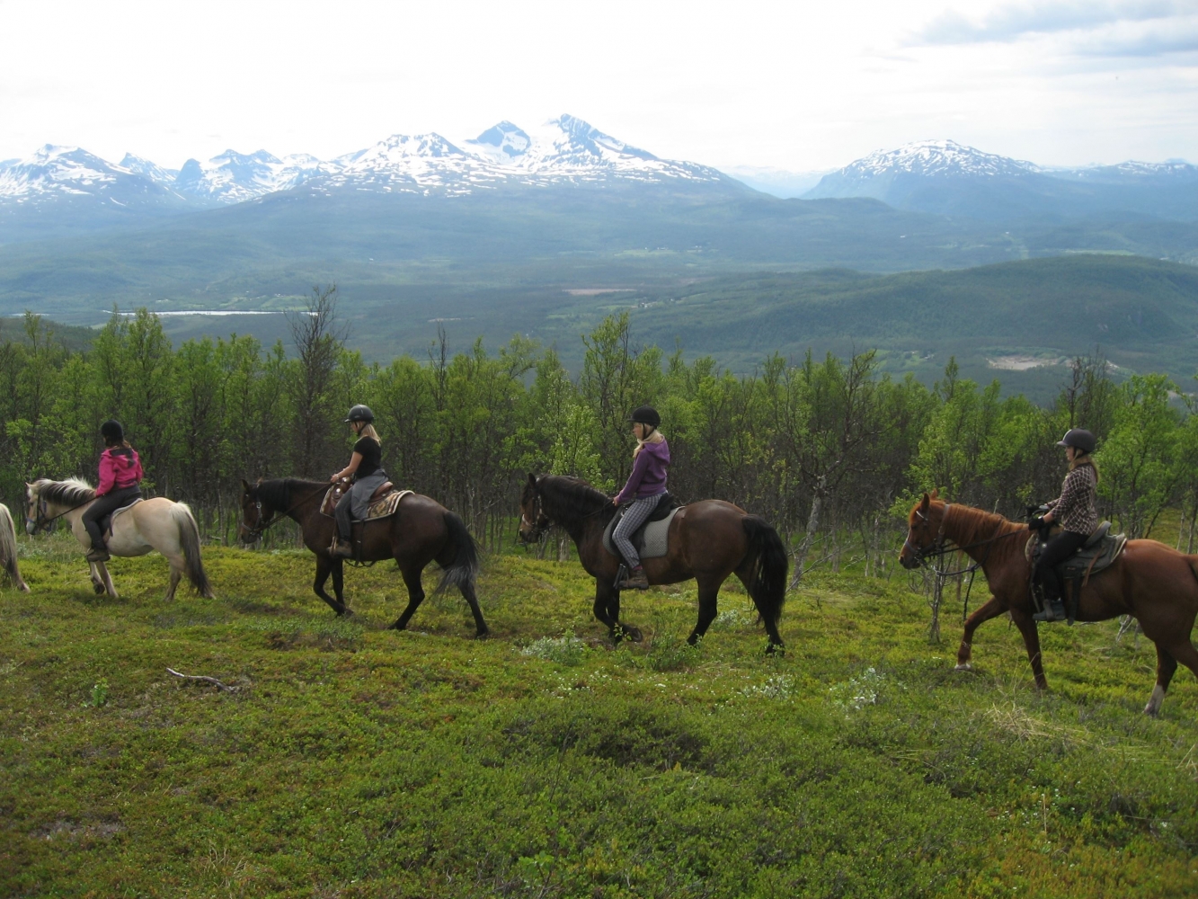 horseback riding in the nature
