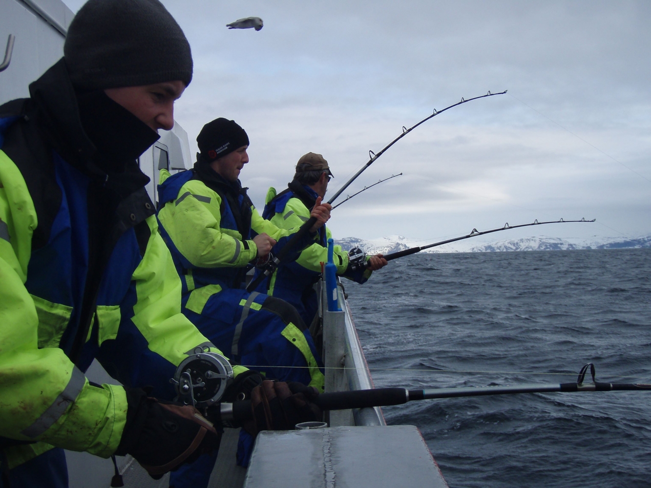 Arctic Fishing Tour by Boat in Tromsø