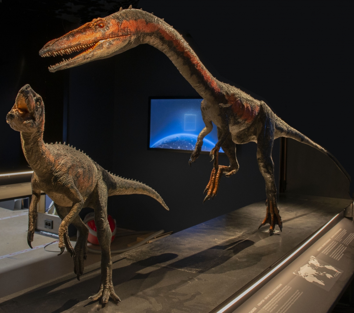 Et stort ichtyosaurus fossil