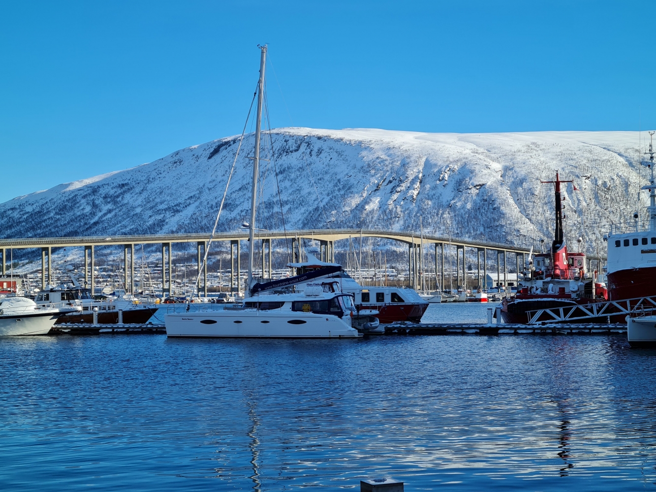 a winter scene of the yacht in the  Tromsø harbour