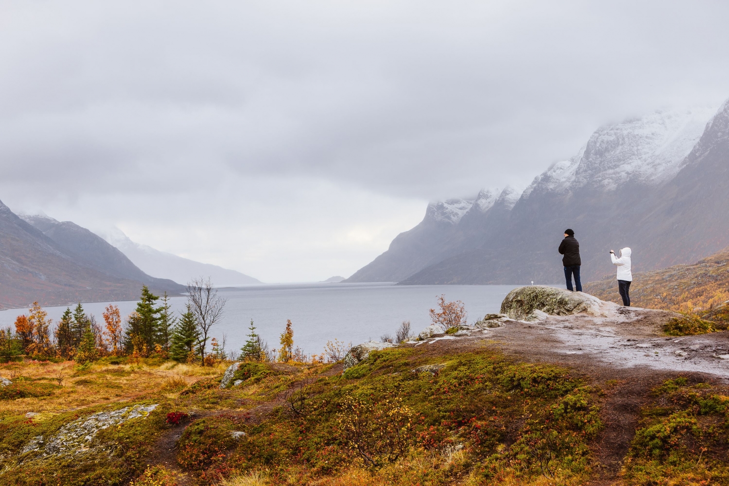 Authentic Fjords: din inngangsport til villmarken