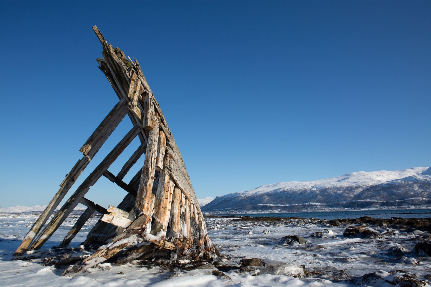 Authentic Fjords – your gateway to the wilderness