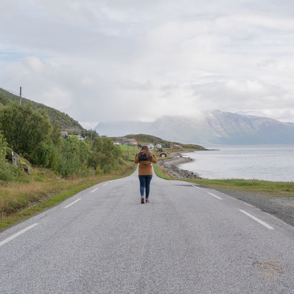 Private | Arctic Roadtrip: Sommarøy with scenic picnic Ⓥ | Sightseeing | 4x4 VW Van