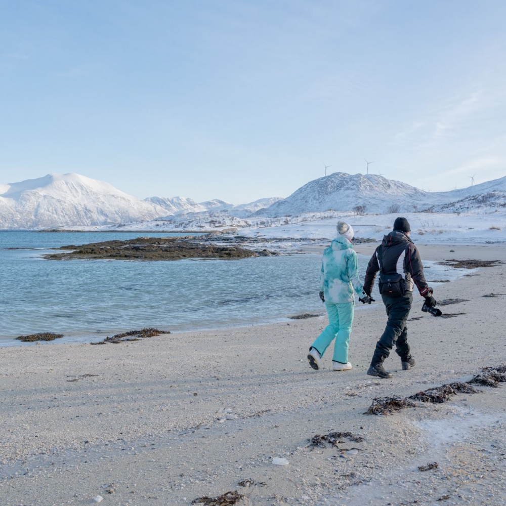Arktisk kjøretur til Sommarøy med piknik i naturskjønne omgivelser