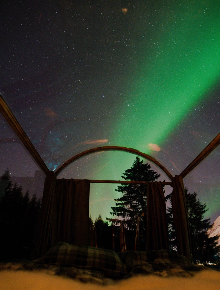 Northern lights cabin - A full day adventure