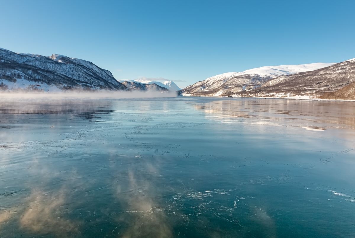 Fjord Cruise Arctic Expedition