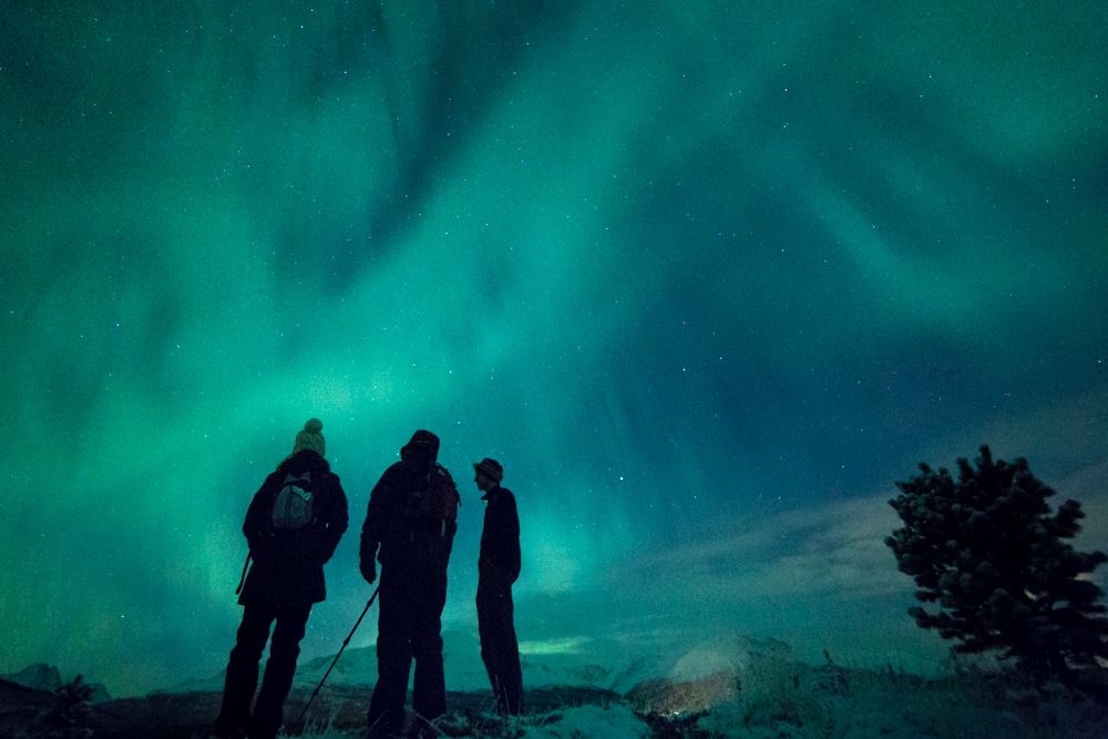 people standing under the norther lights 