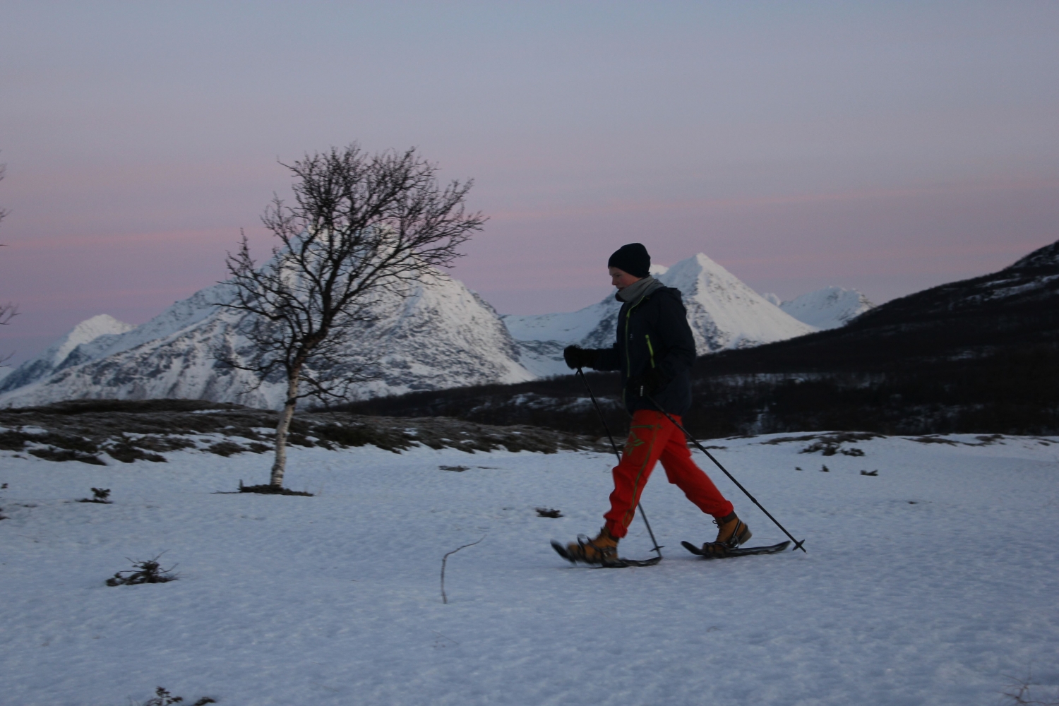Snowshoeing & Dog Sledding at Breivikeidet