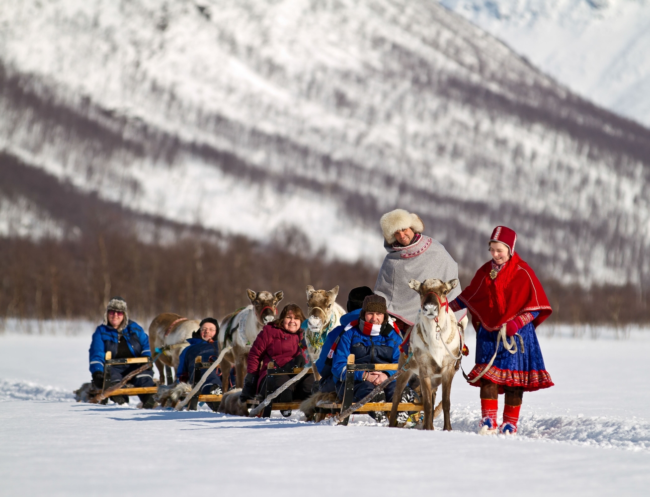 Reindeer sledding 
