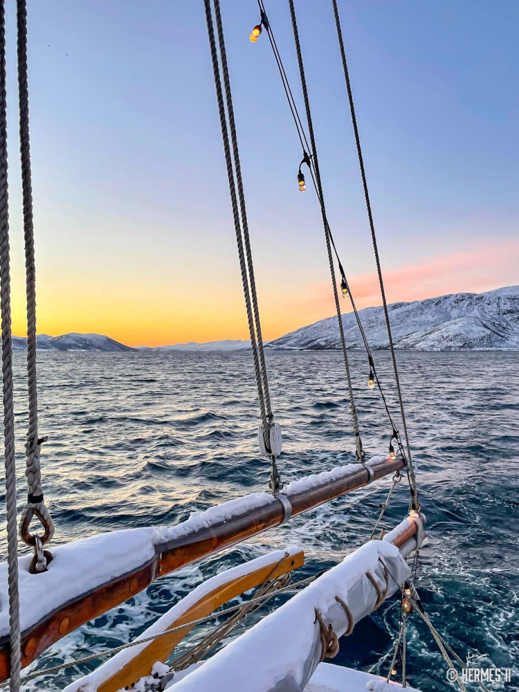 Fishing and Fjord Cruise - Hermes II