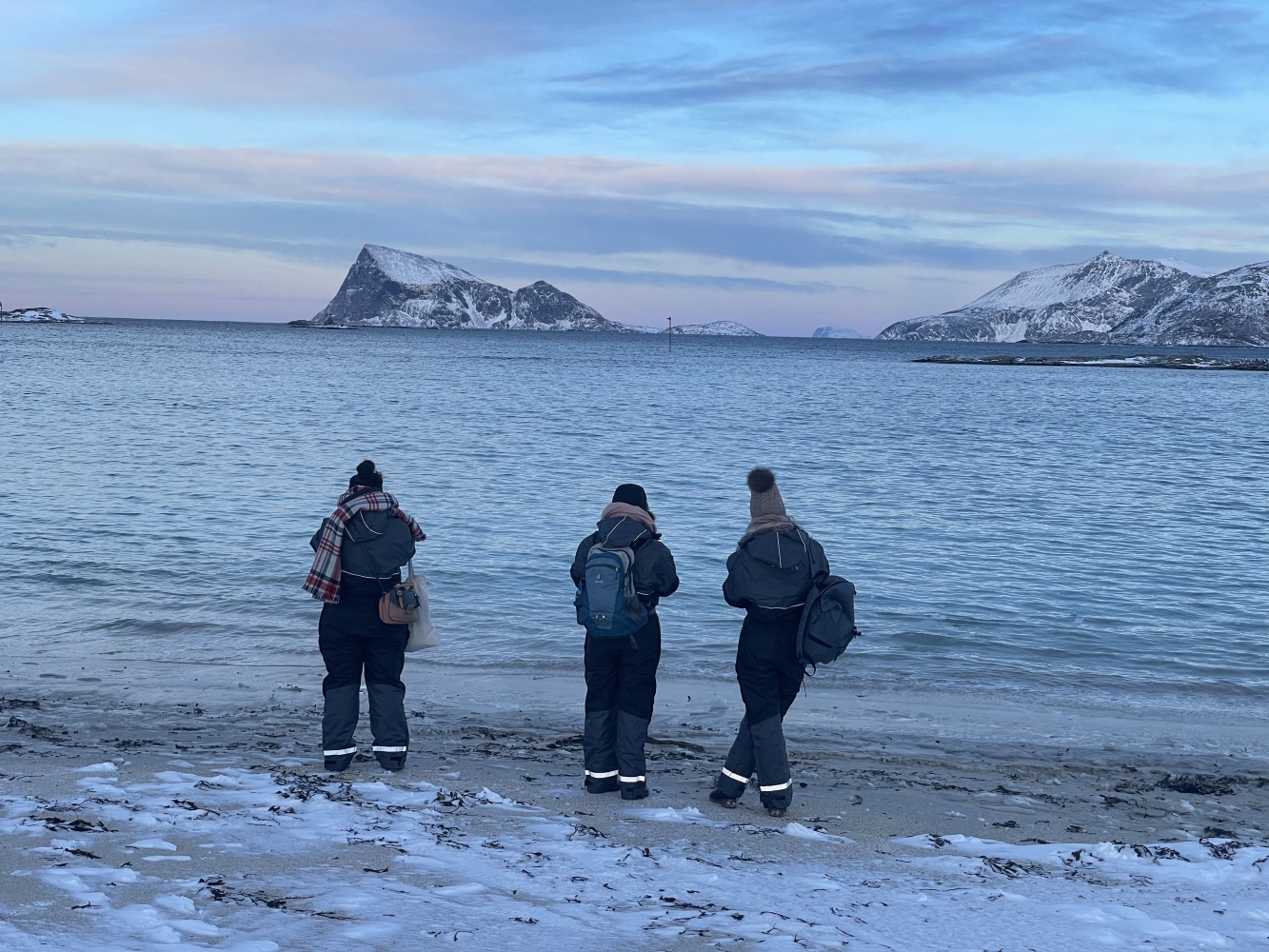 Dags tur – Arktisk fjord og reinsdyrs opplevelser