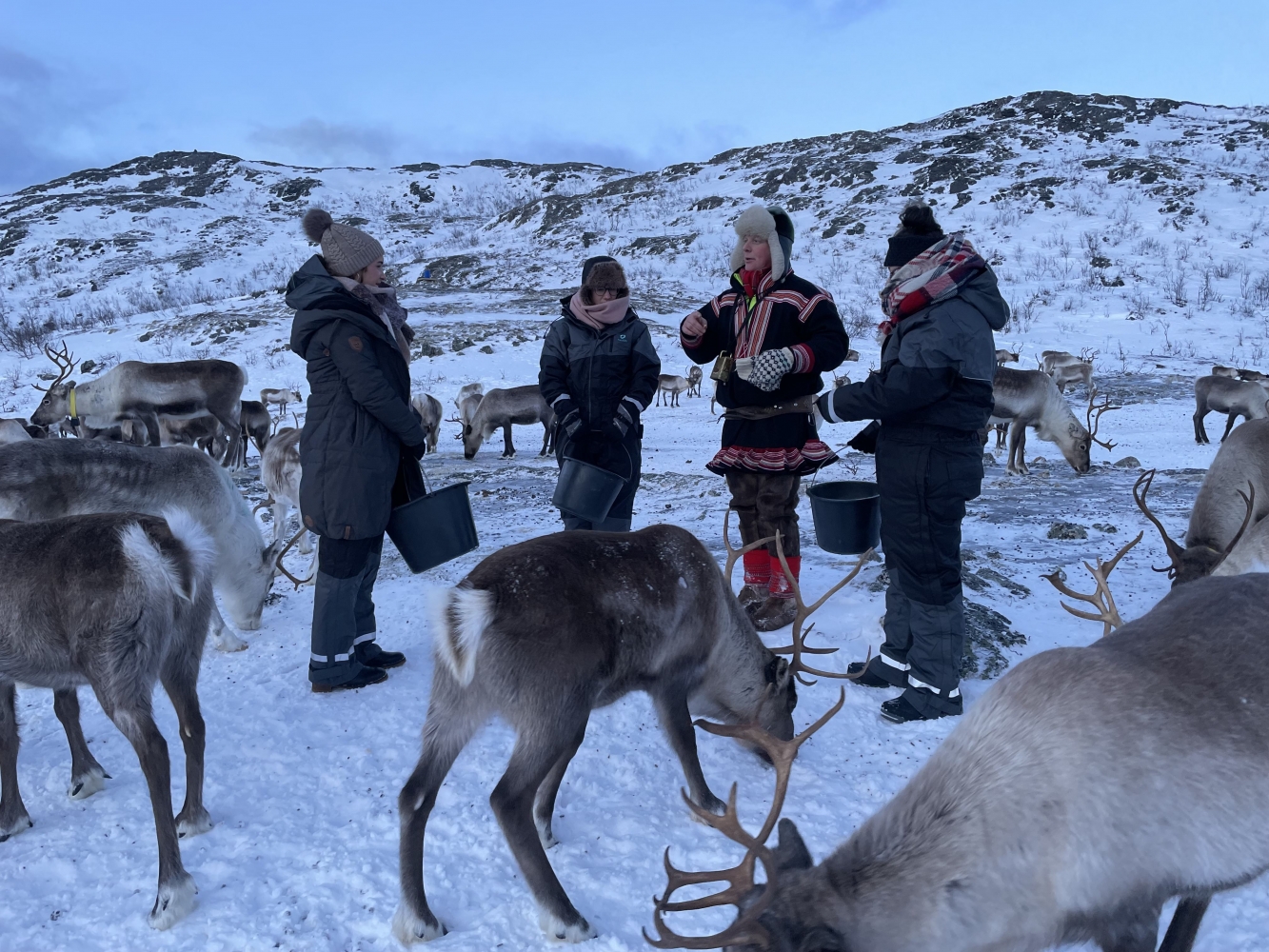 Arktisk fjord og reinsdyrs opplevelser – Liten gruppe tur