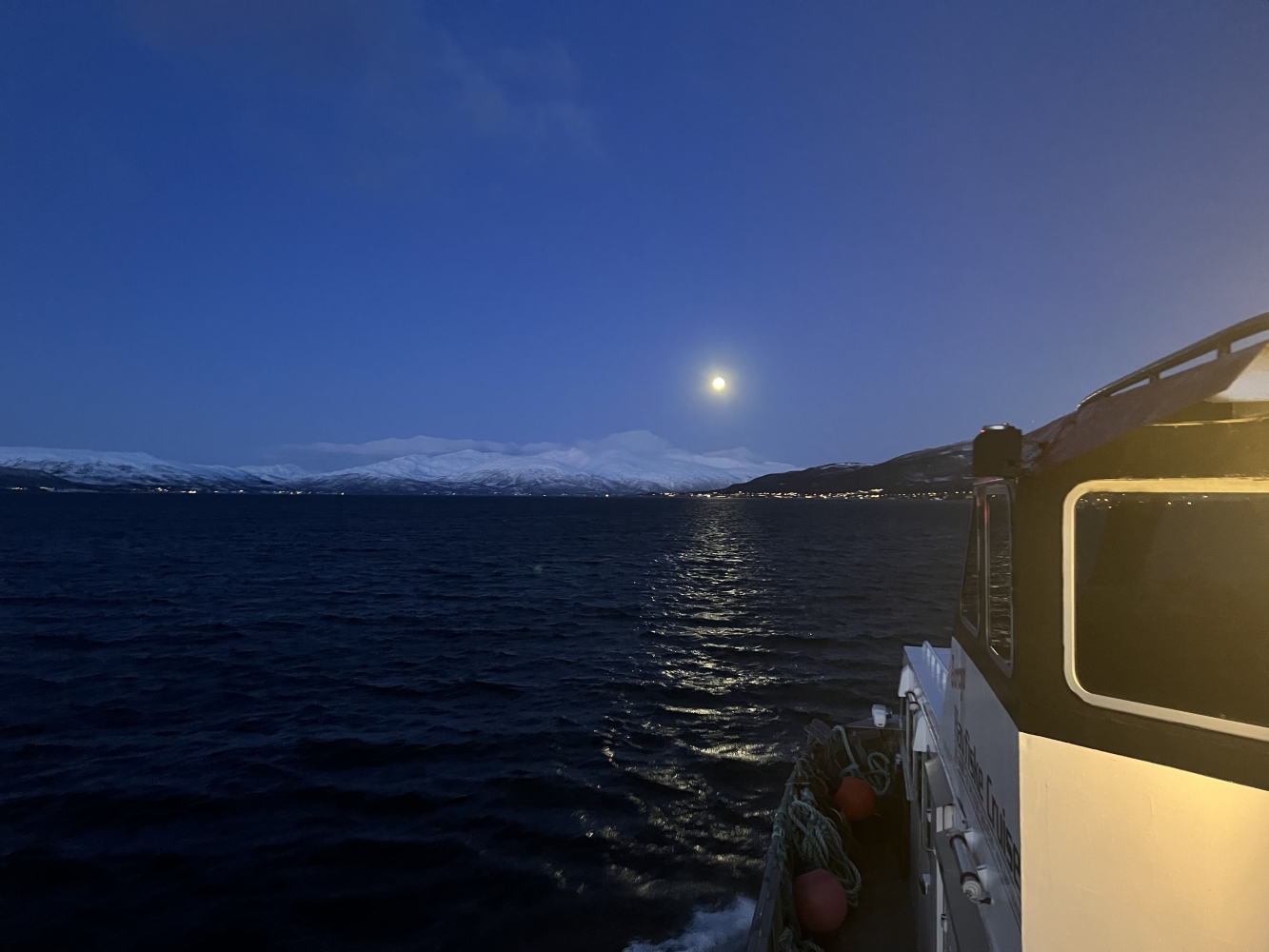 Blue Light Cruise around the Isle of Tromsø