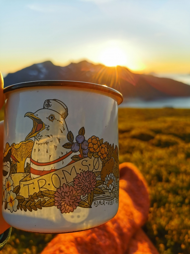 Enamel cup with seagull and seabirds design