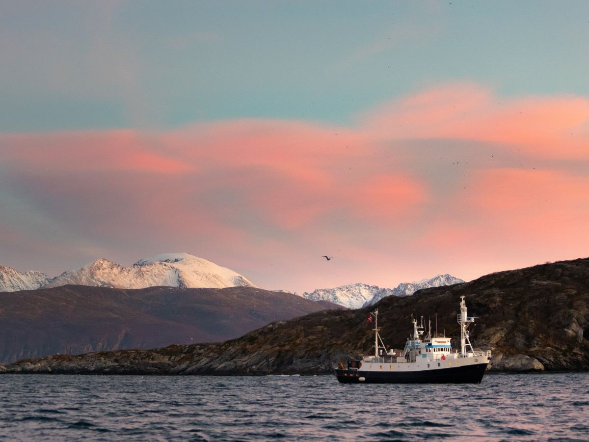 båten i vakre omgivelser av fjell, fjord og en himmel med rosa skyer