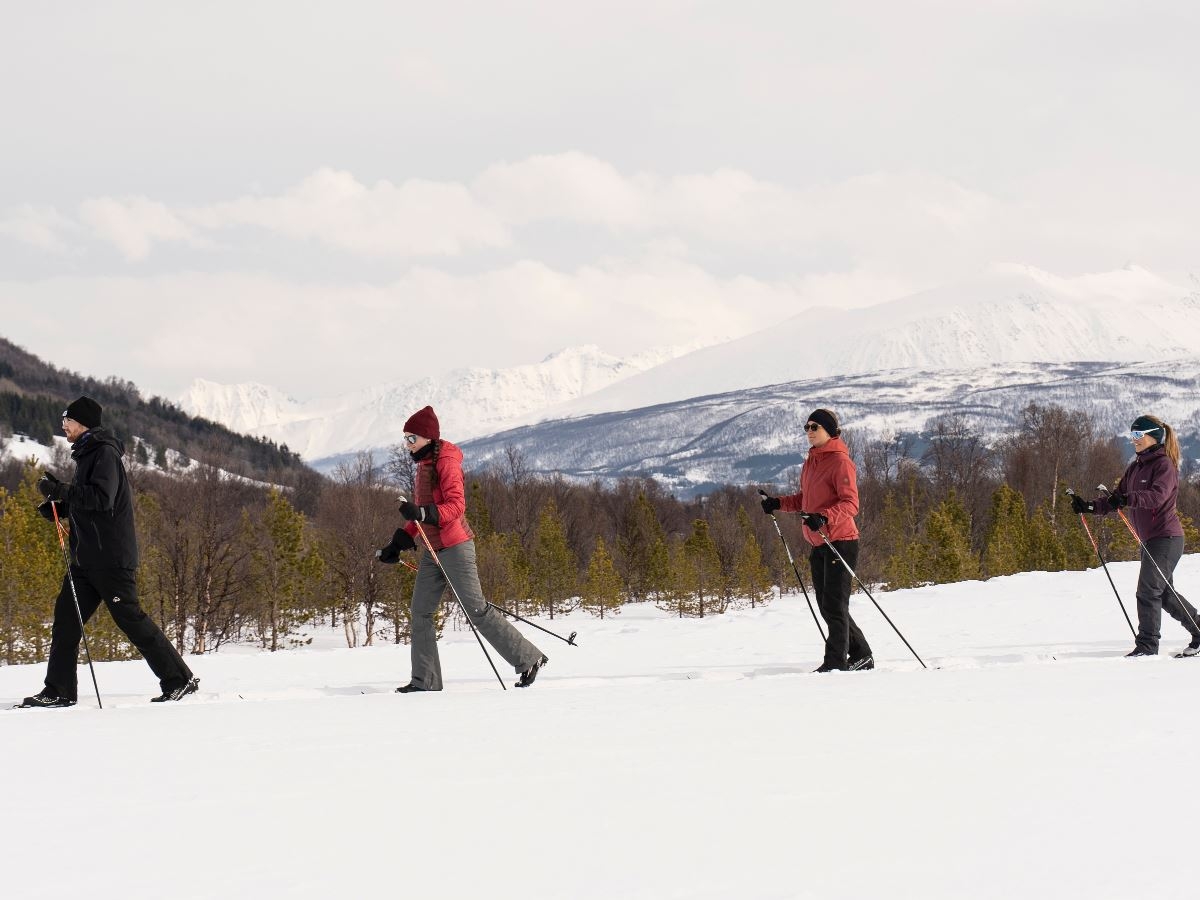  four people cross-country skiing with the Lyngen Alps in the background