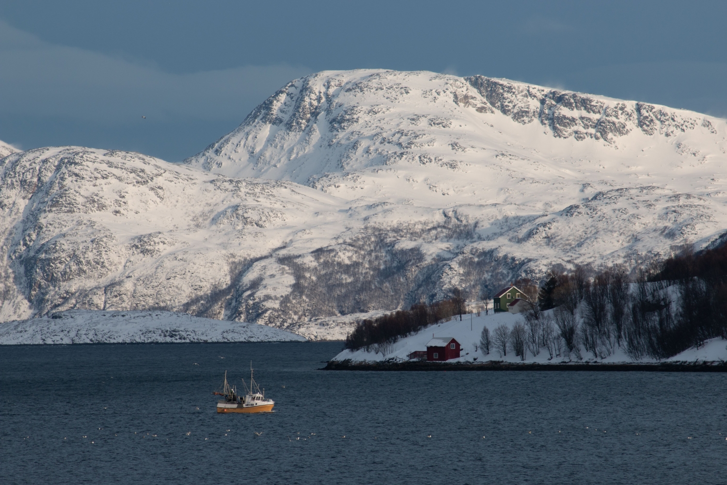 Vinter Kvaløya Fjord Tour