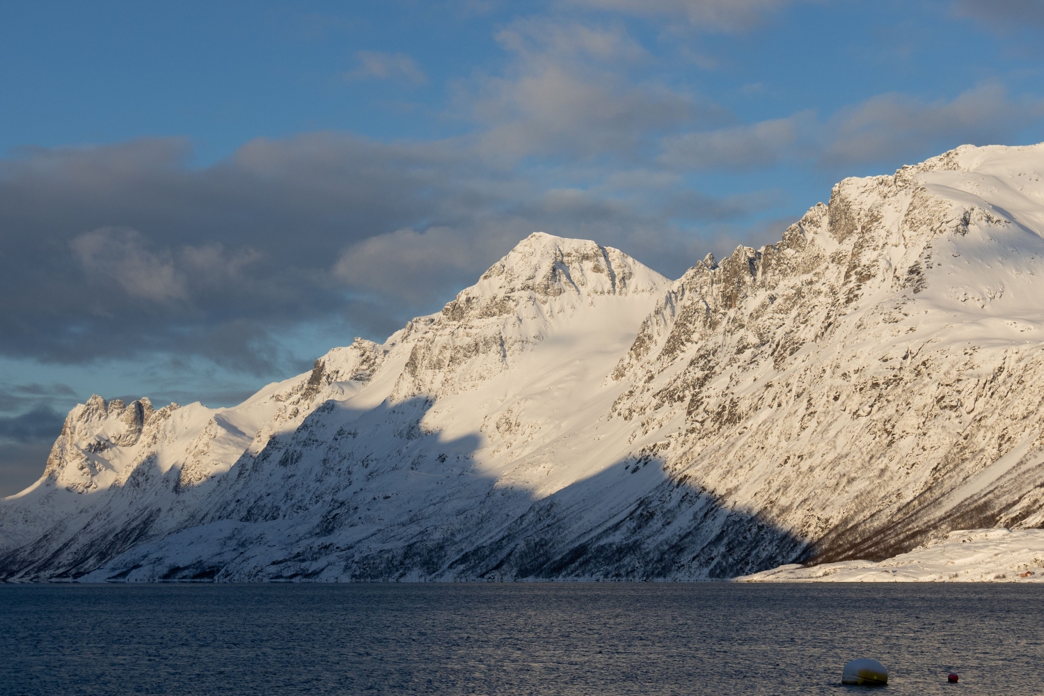 Vinter Kvaløya Fjord Tour